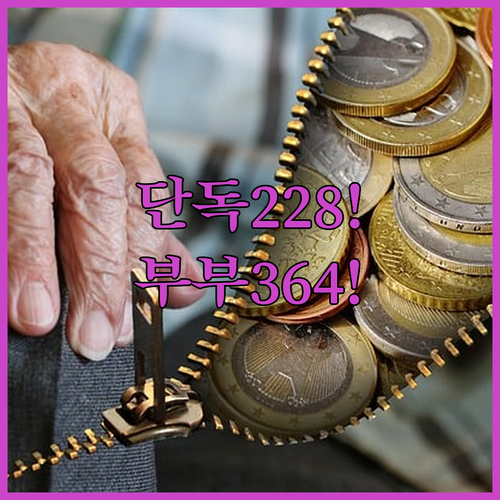 2026년 기초연금 신청 조건 완화 | 단독가구 228만원 부부 364만원