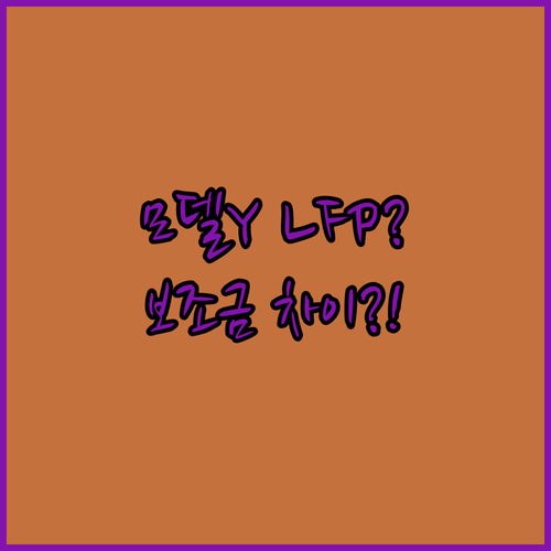 테슬라 모델Y 보조금 차이 나는 이유 | LFP 배터리 영향