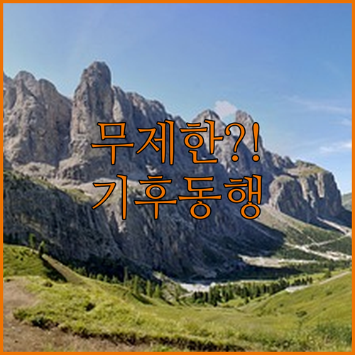 서울 기후동행카드 하루 몇번이든 무제한