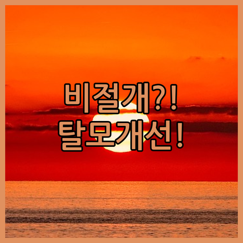 비절개 모발이식 정수리 탈모 개선 사례와 후기