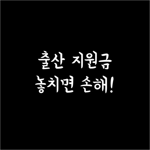 임신 출산 정부 지원금 국민행복카드 신청과 활용법