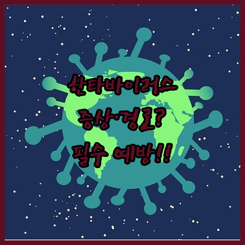 한타바이러스 증상과 감염 경로 | 신증후군출혈열 예방 수칙 정리