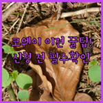 image 3d6044cb