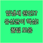 image 4fdb82bd