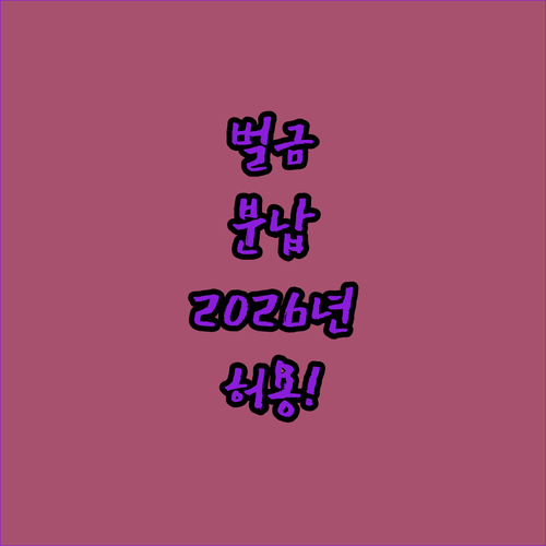 경제적 어려움 겪는 벌금 납부자 2026년 분할 납부 허용