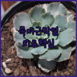 image ad6159a2