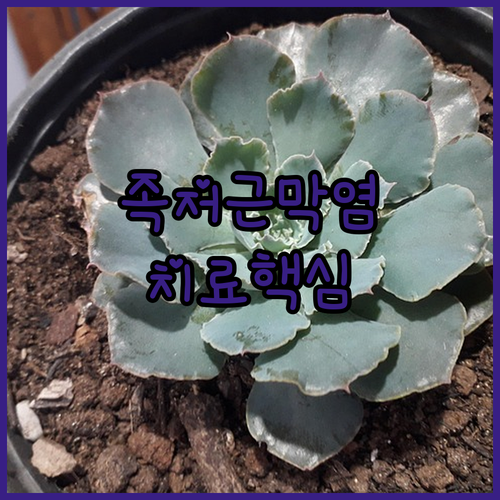 image ad6159a2