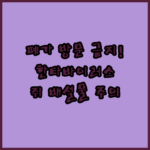 image cd2a9113