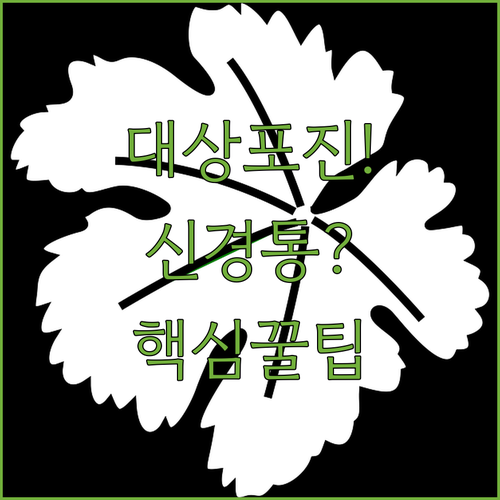대상포진 후 신경통 관리와 부평구 통증의학과 찾기